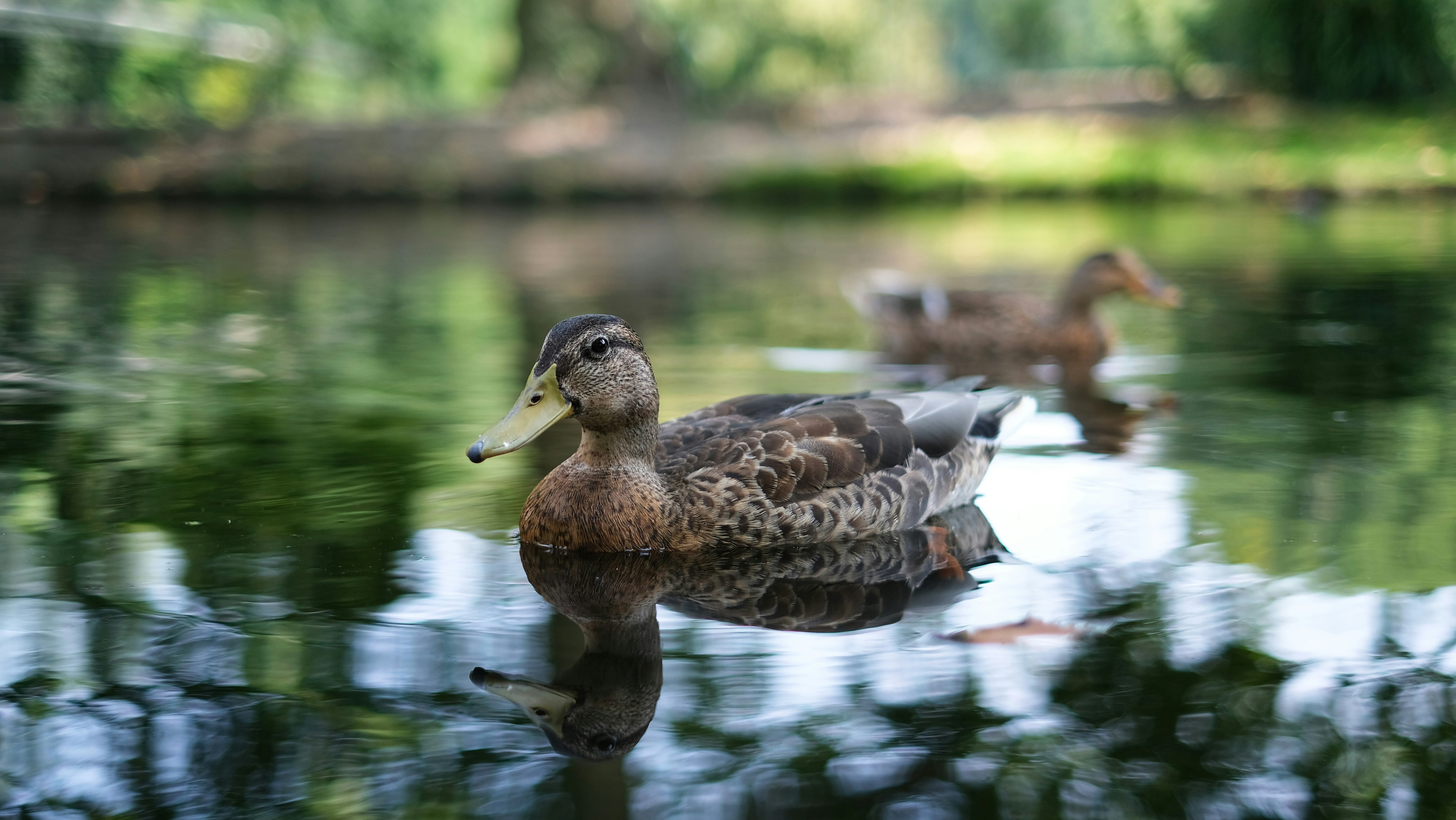 Photo by herrherrmann