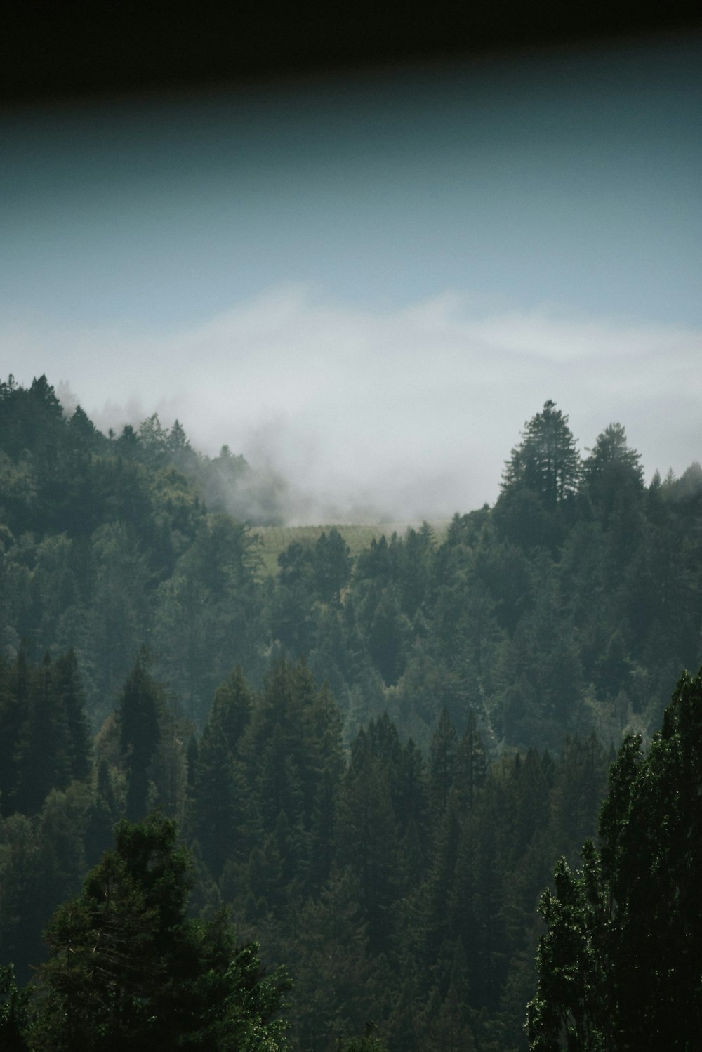 Grüne Bäume am Berg unter blauem Himmel tagsüber