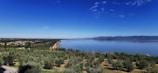 A serene landscape of the Moroccan countryside with olive trees.