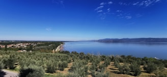 A serene landscape of mountains and olive groves in the distance.