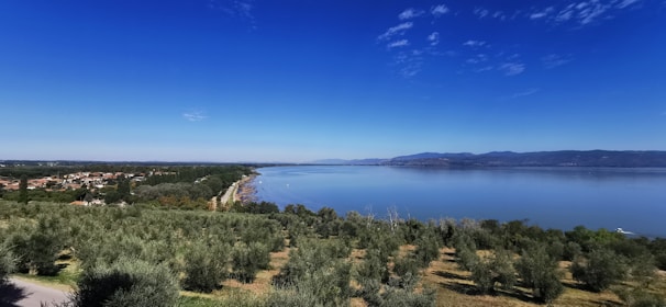 A serene landscape of mountains and olive groves in the distance.