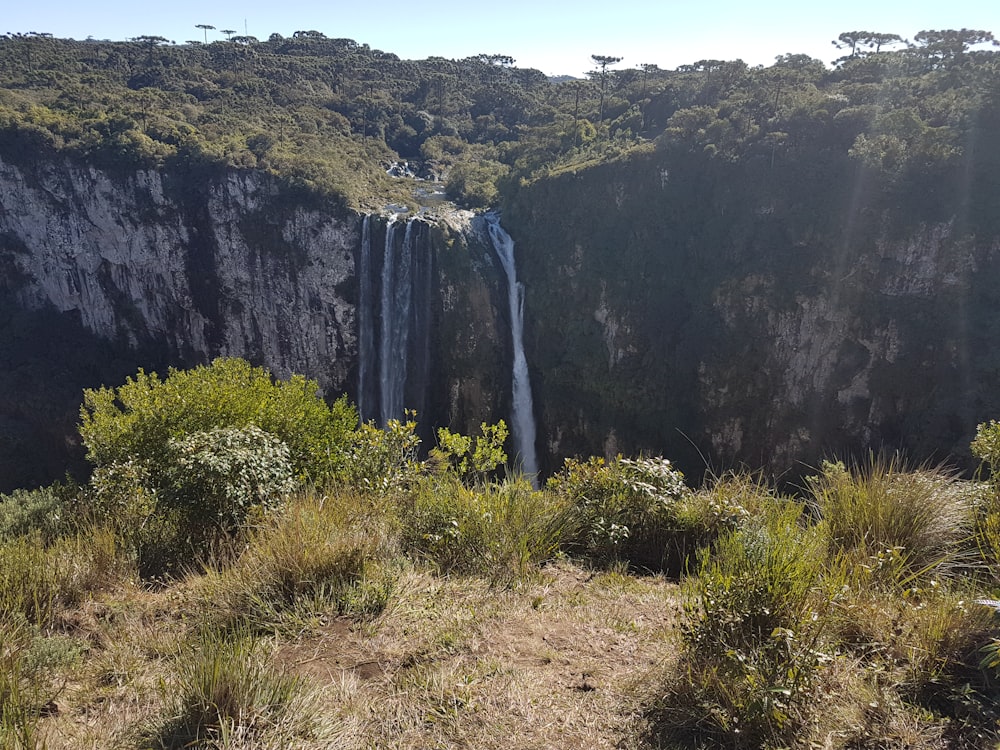 erba verde sulla montagna rocciosa durante il giorno