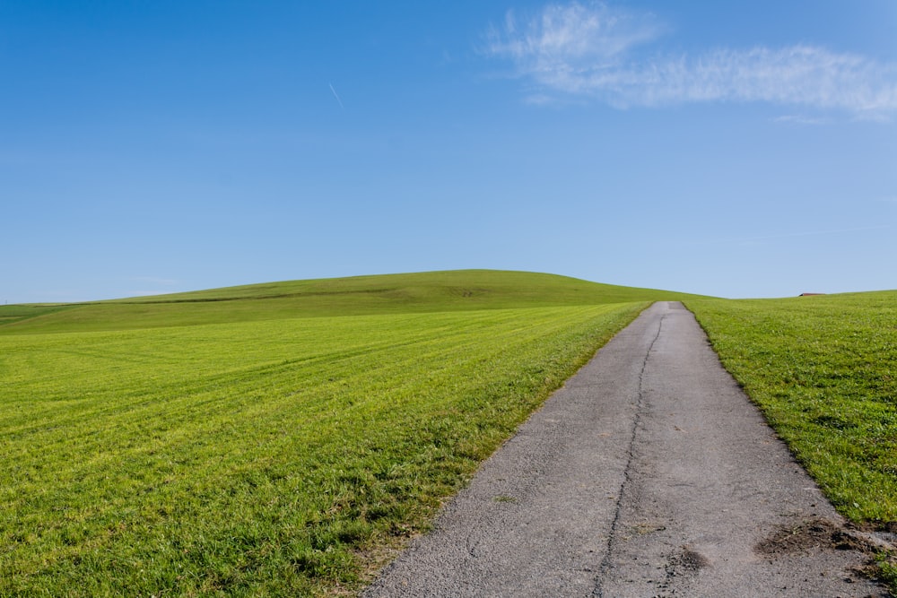 gray concrete road between green grass field under blue sky during daytime