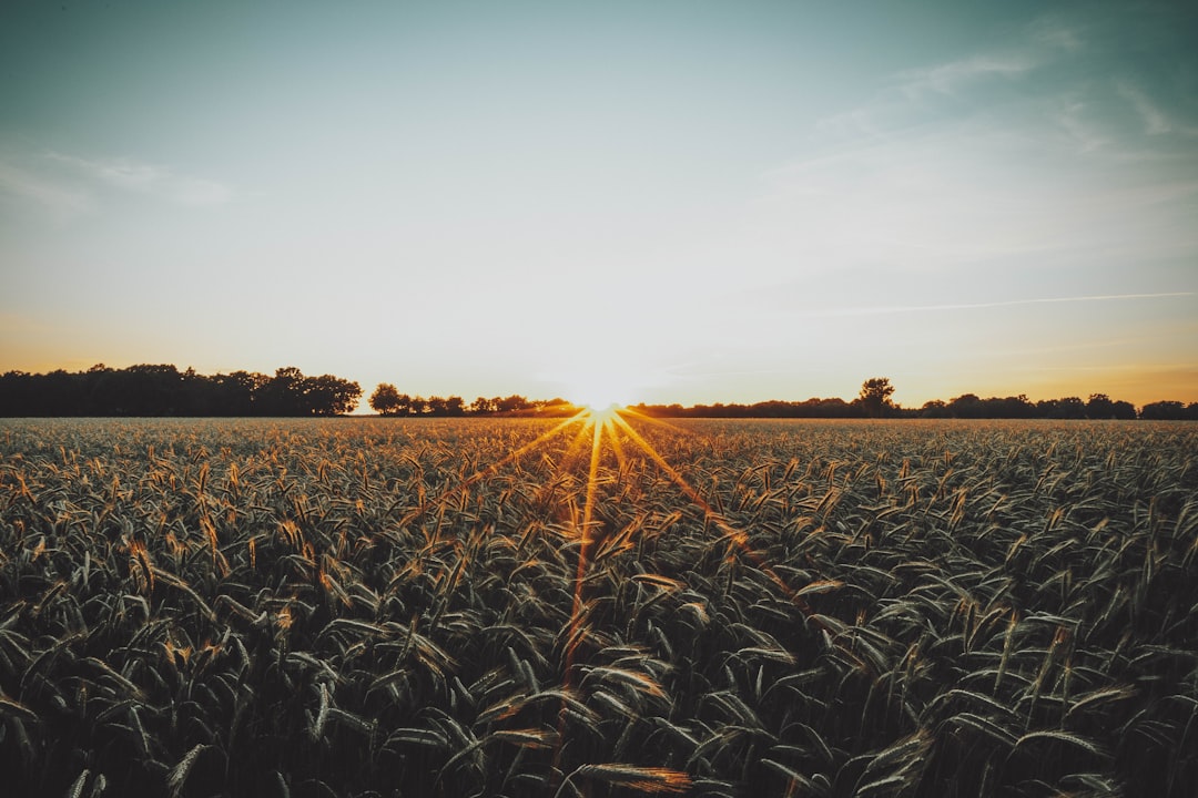 The Resurgence of Purpose-Driven Entrepreneurship Lessons from Rege… — The Resurgence of Purpose-Driven Entrepreneurs...