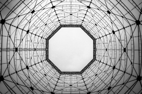 black and white rb plant