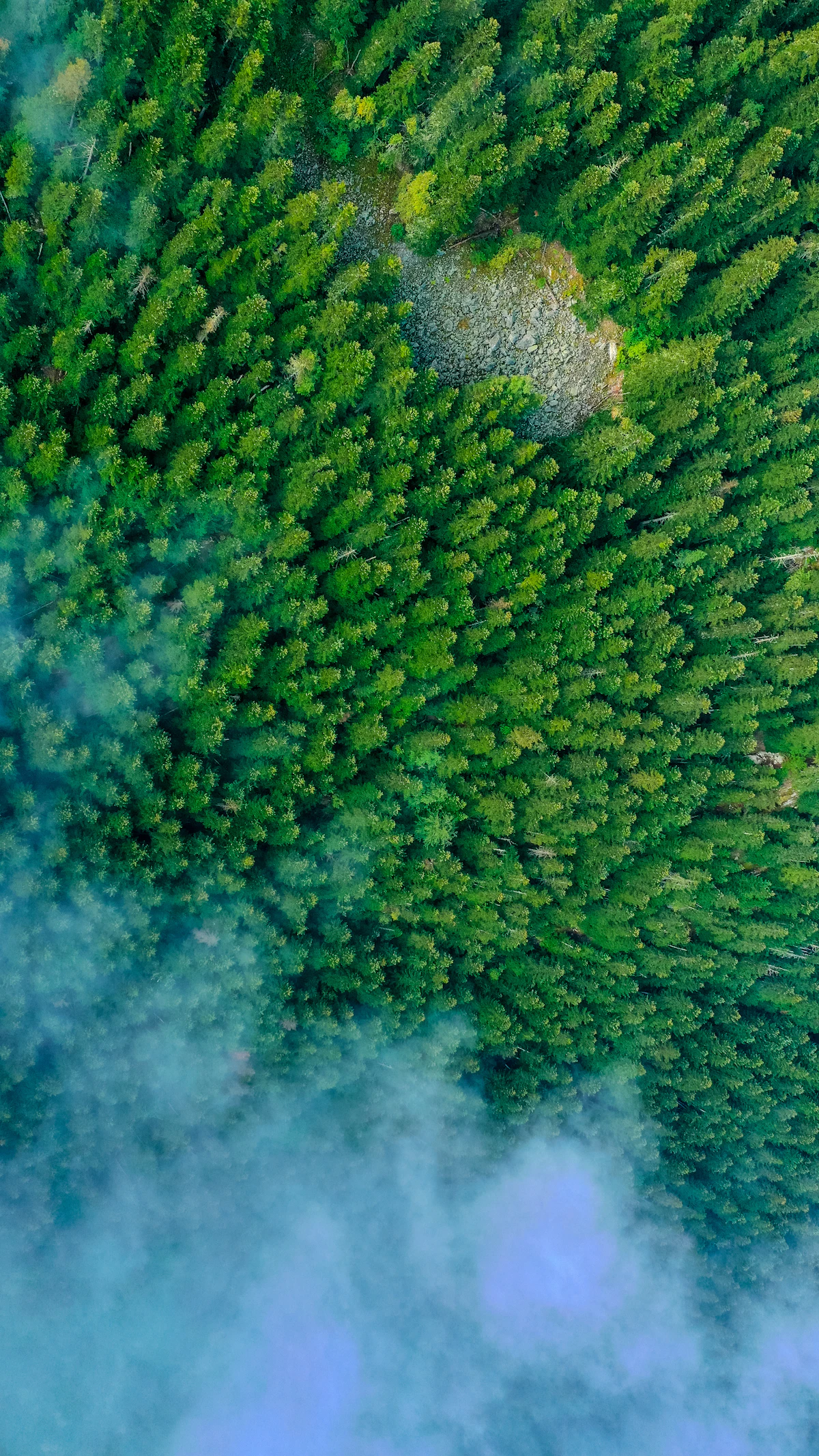 Looking down on dense conifer forest near Vielha, with low cloud drifting over it
