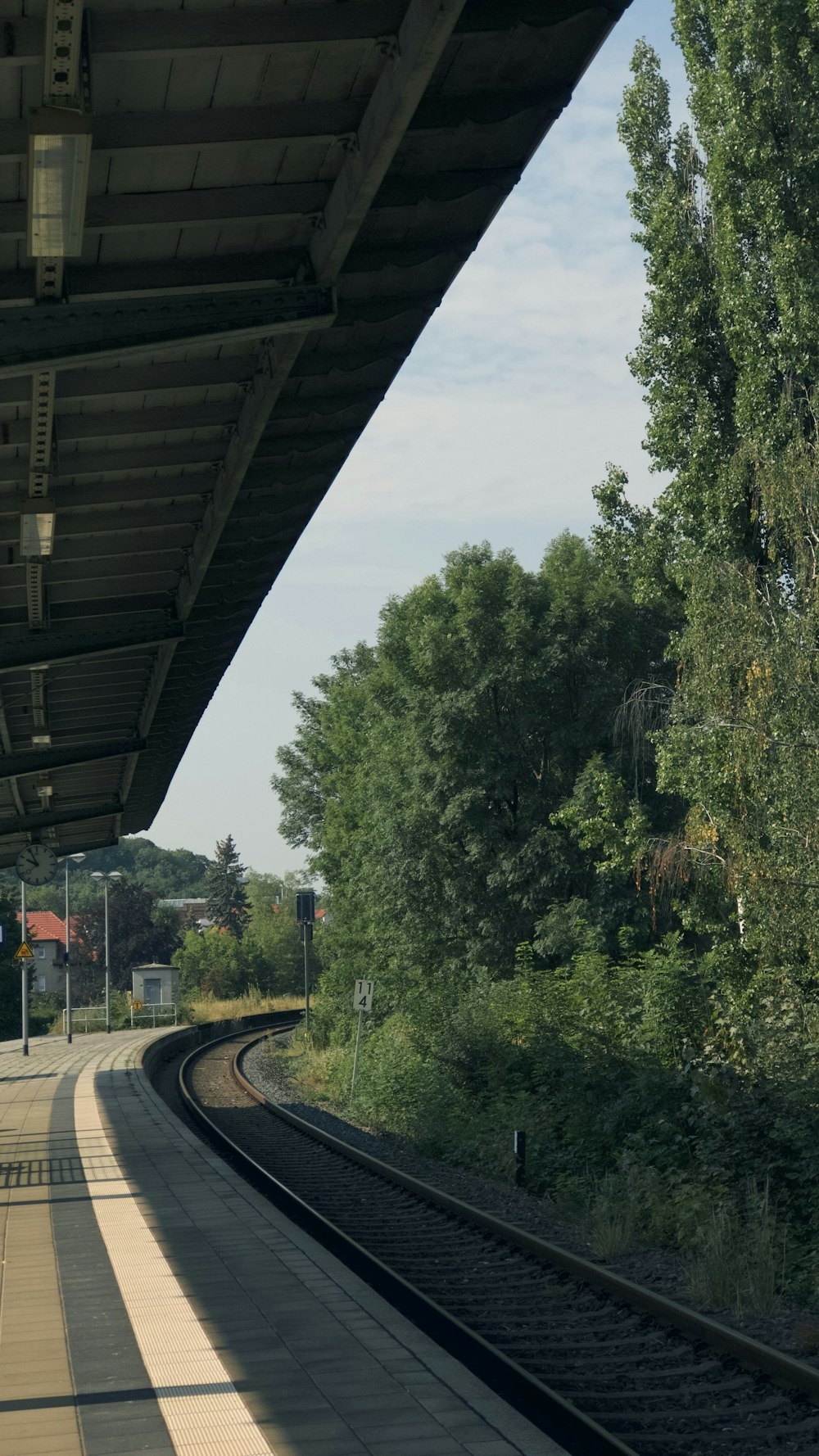 green trees beside gray concrete road during daytime