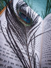 A peacock feather rests delicately on an open book with text in Hindi script. The vibrant blue and green hues of the feather's eye contrast with the monochrome pages of the book. Lush greenery in the background enhances the natural theme of the composition.