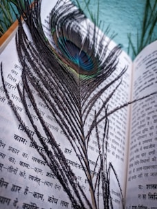 A peacock feather rests delicately on an open book with text in Hindi script. The vibrant blue and green hues of the feather's eye contrast with the monochrome pages of the book. Lush greenery in the background enhances the natural theme of the composition.