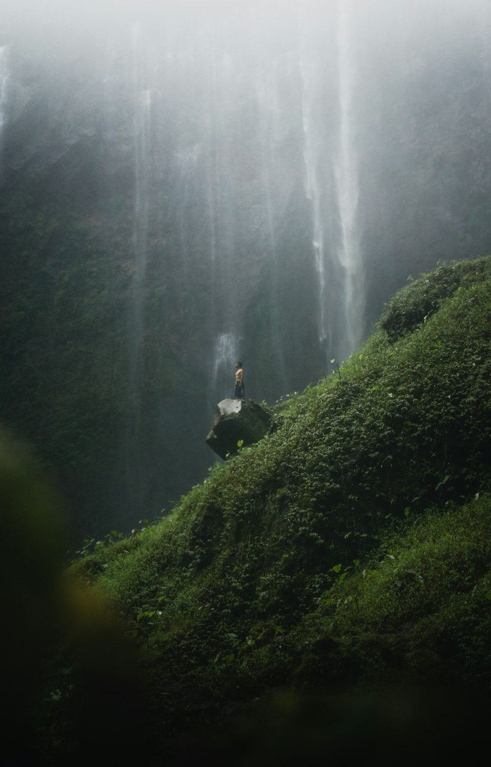 person in black jacket sitting on rock near green grass during daytime