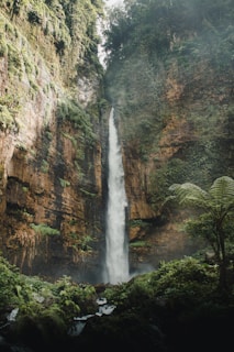 waterfalls in the middle of the forest