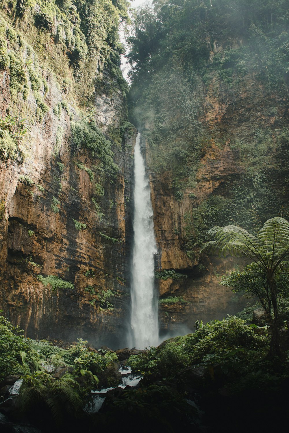 waterfalls in the middle of the forest