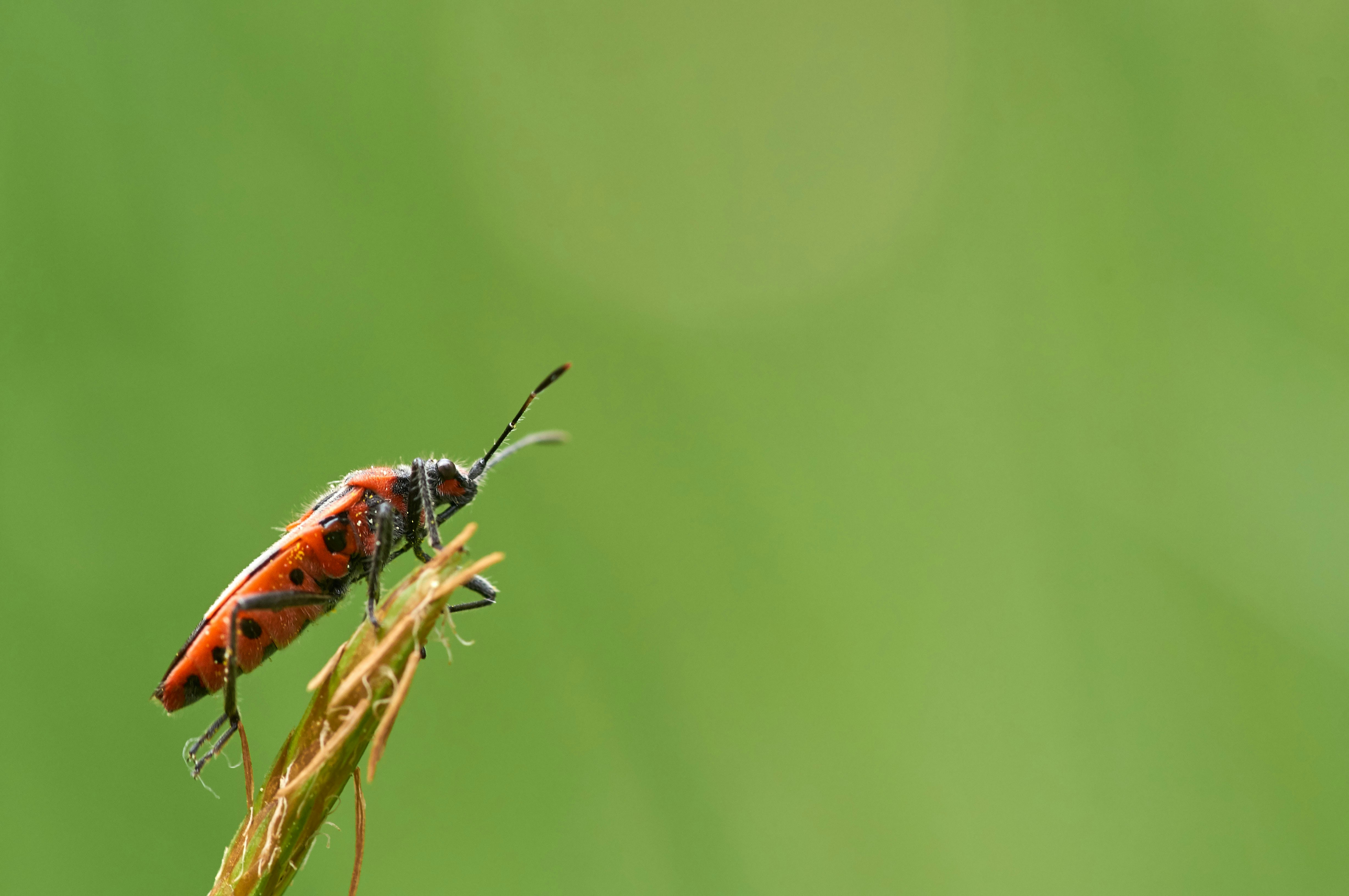 A developer looking confused at lines of code on a computer screen.