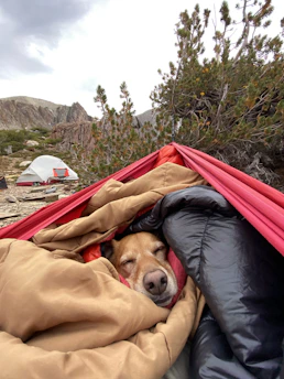 Best Sleeping Bags & Emergency Blankets for Hunting Expeditions