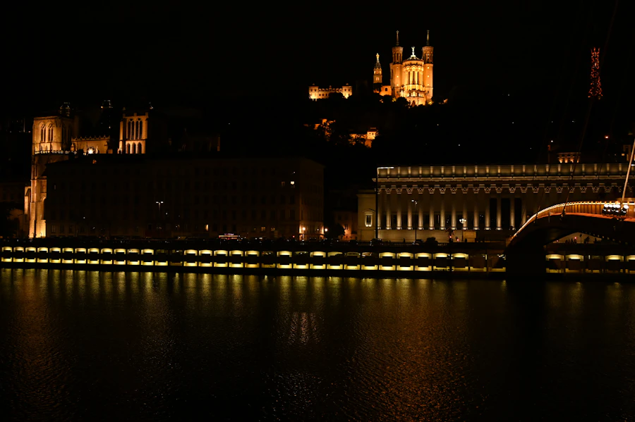Gestion locative Lyon