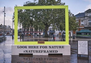 Art installations promoting ecological awareness.