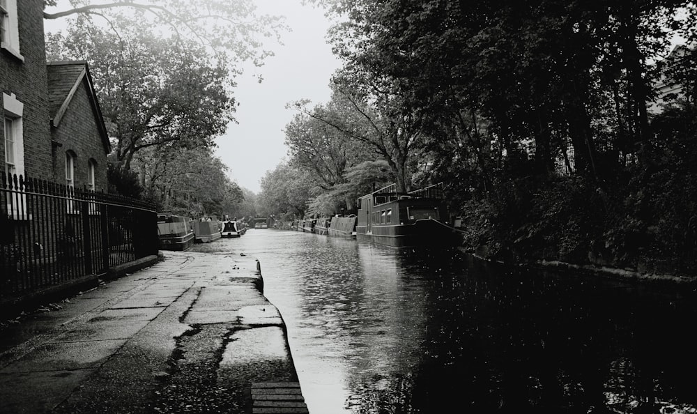 grayscale photo of river between trees