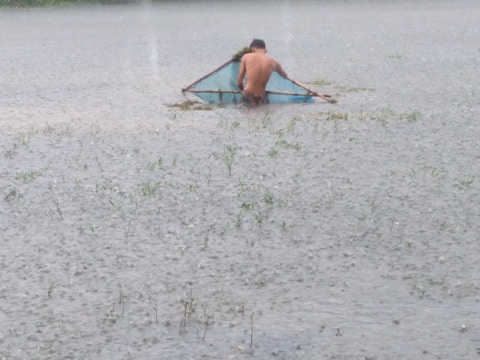 A person stands knee-deep in water, holding a large triangular net, likely fishing in a flooded area. The water is clear, and some grass is visible emerging from it, suggesting a recent inundation.