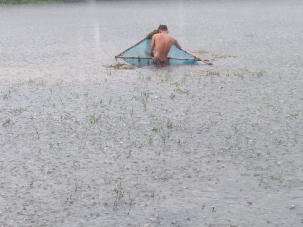 SoftTouch Landing Net