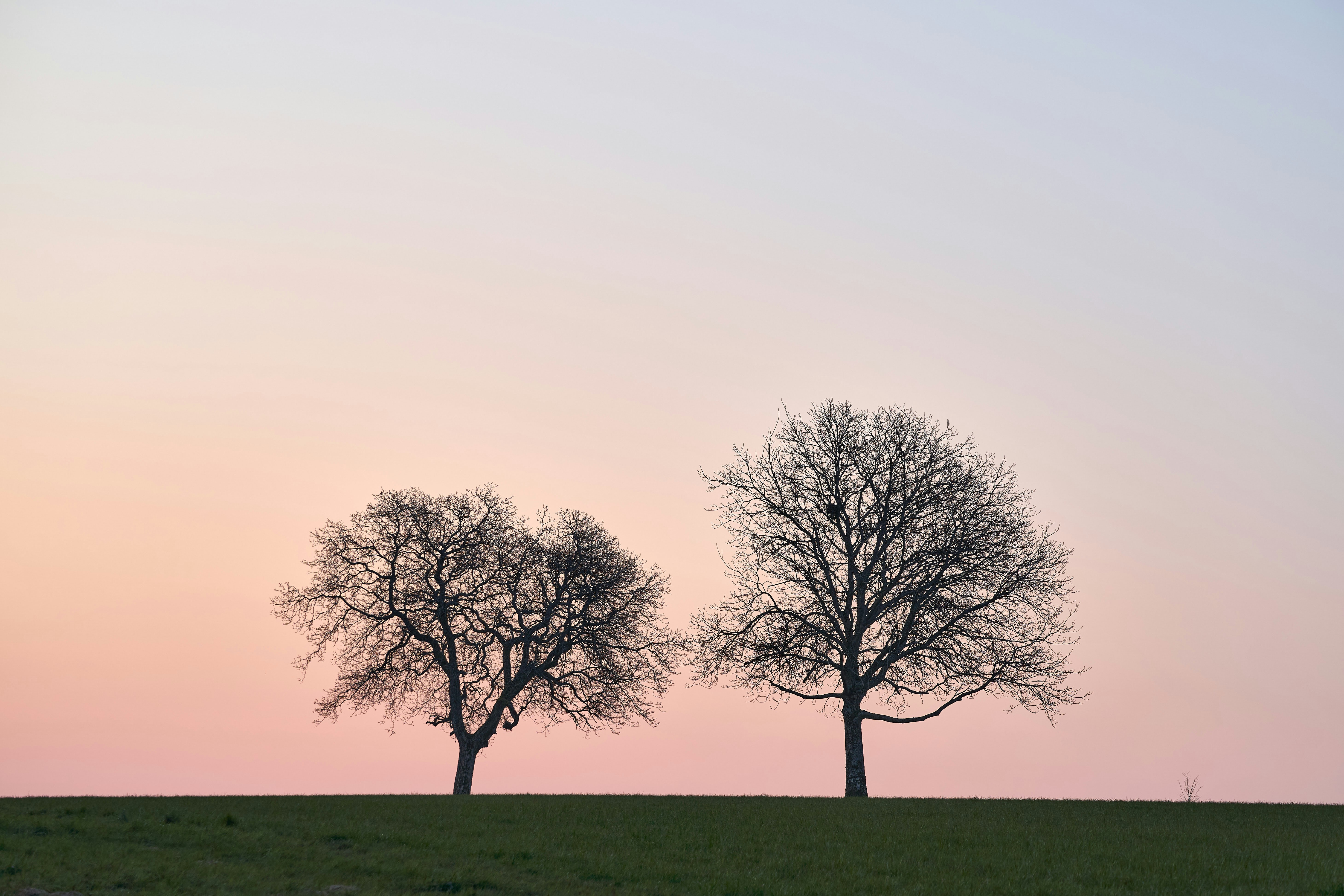 Photo by wolfgang_hasselmann