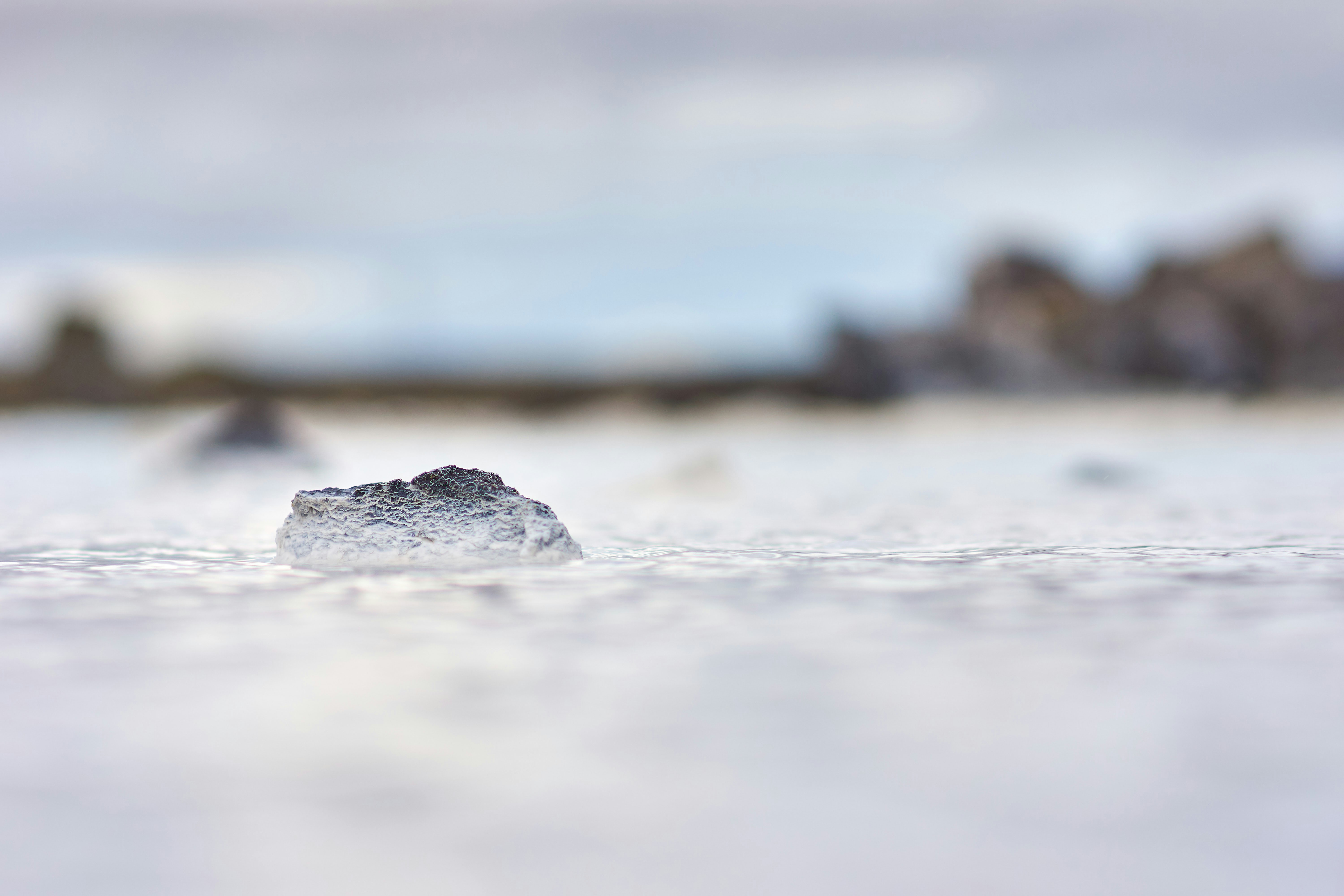 Photo by wolfgang_hasselmann