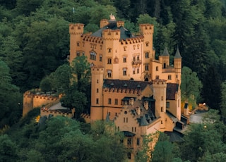 brown concrete castle surrounded by green trees during daytime