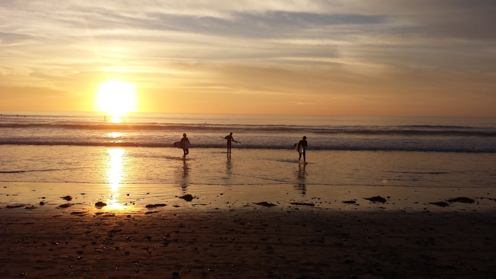 people on beach during sunset