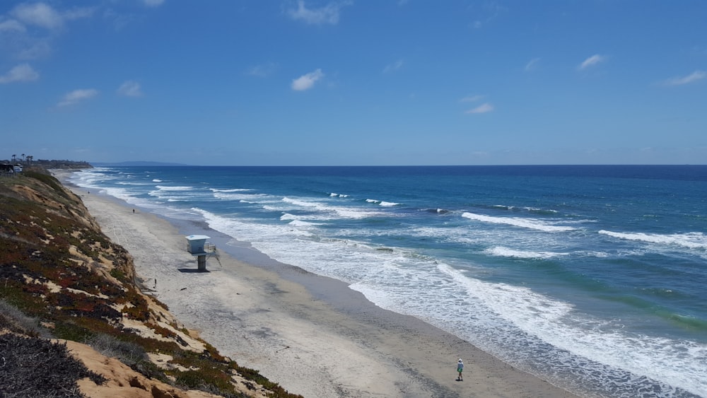 people on beach during daytime