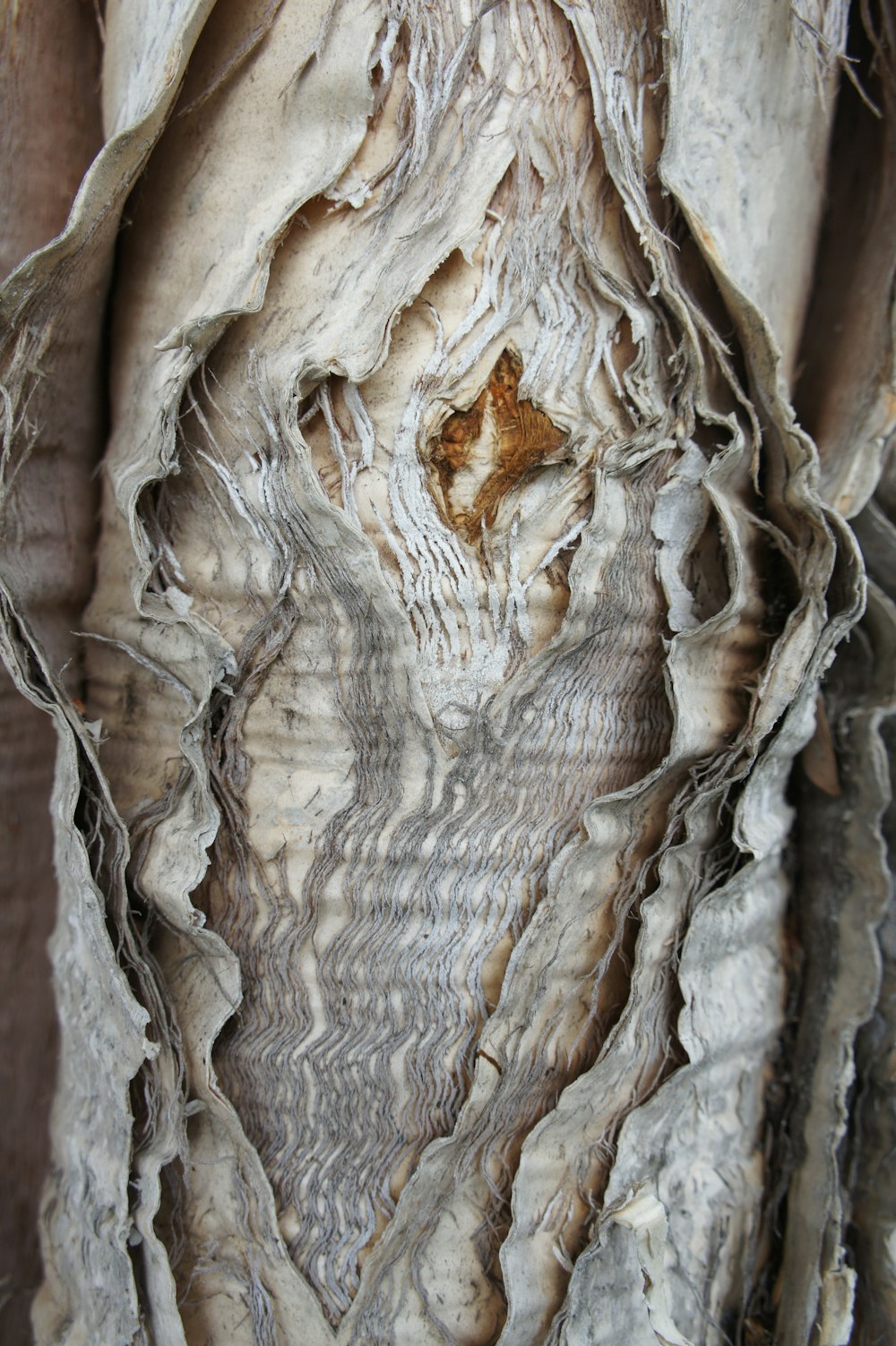 white and brown stone fragment