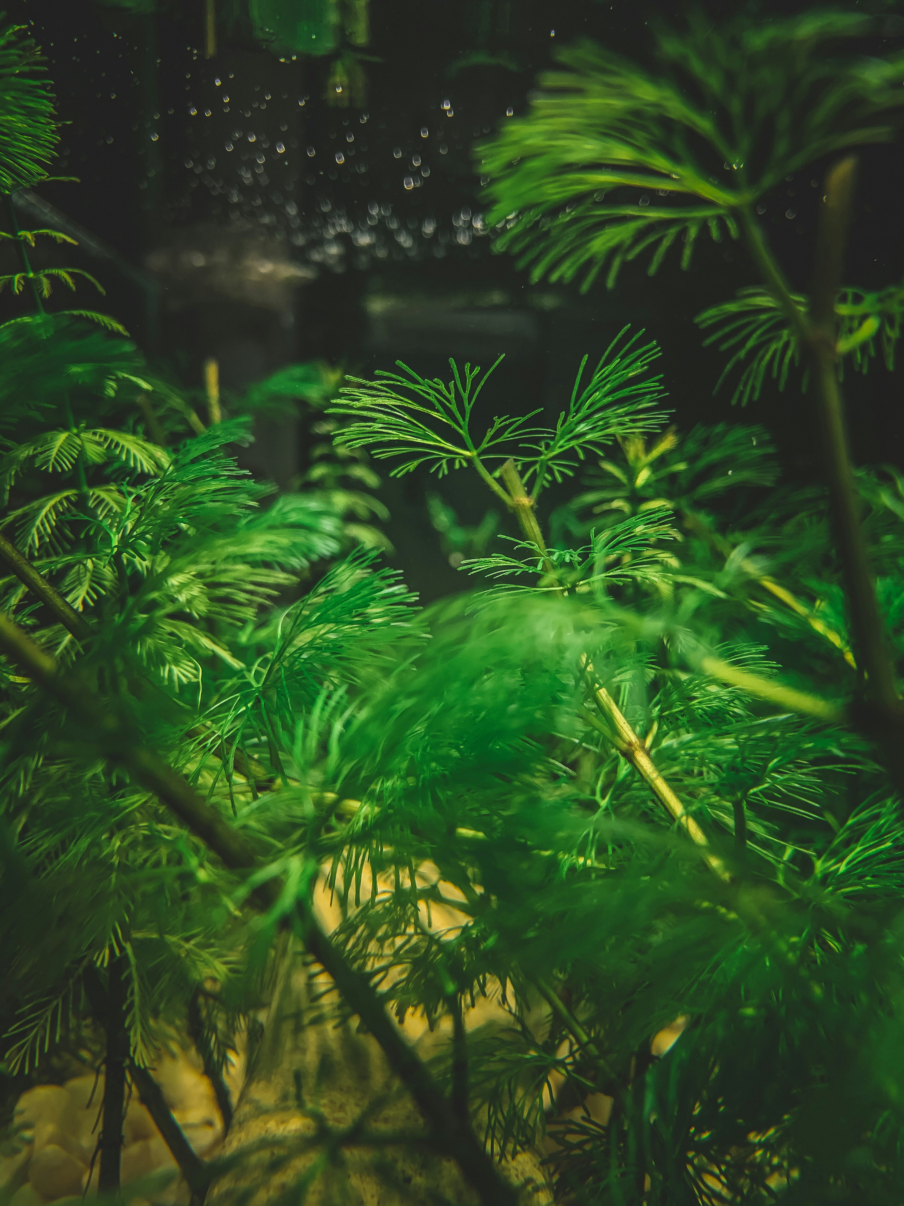 Photo by heyphotoshoot