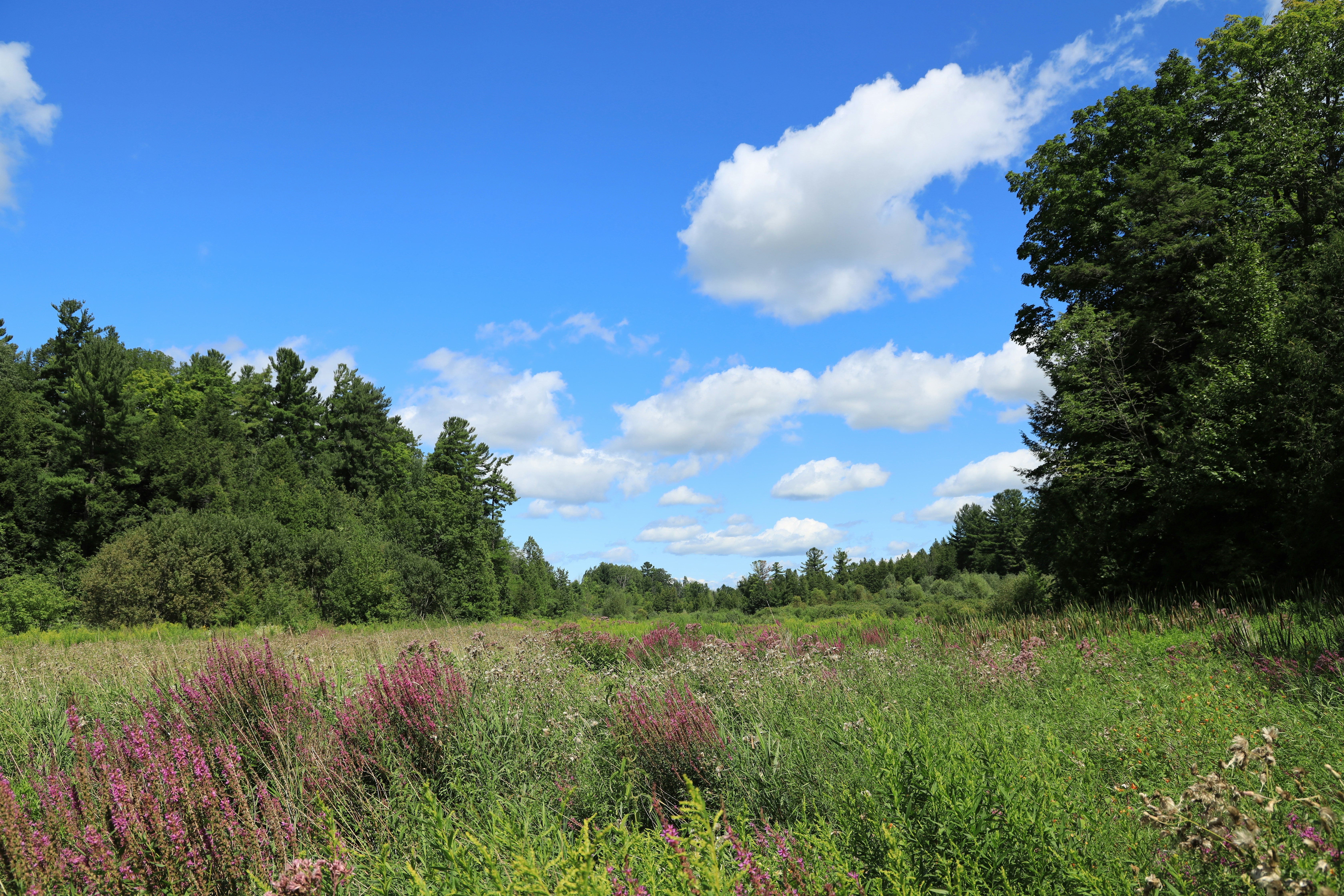 Photo by richardworks