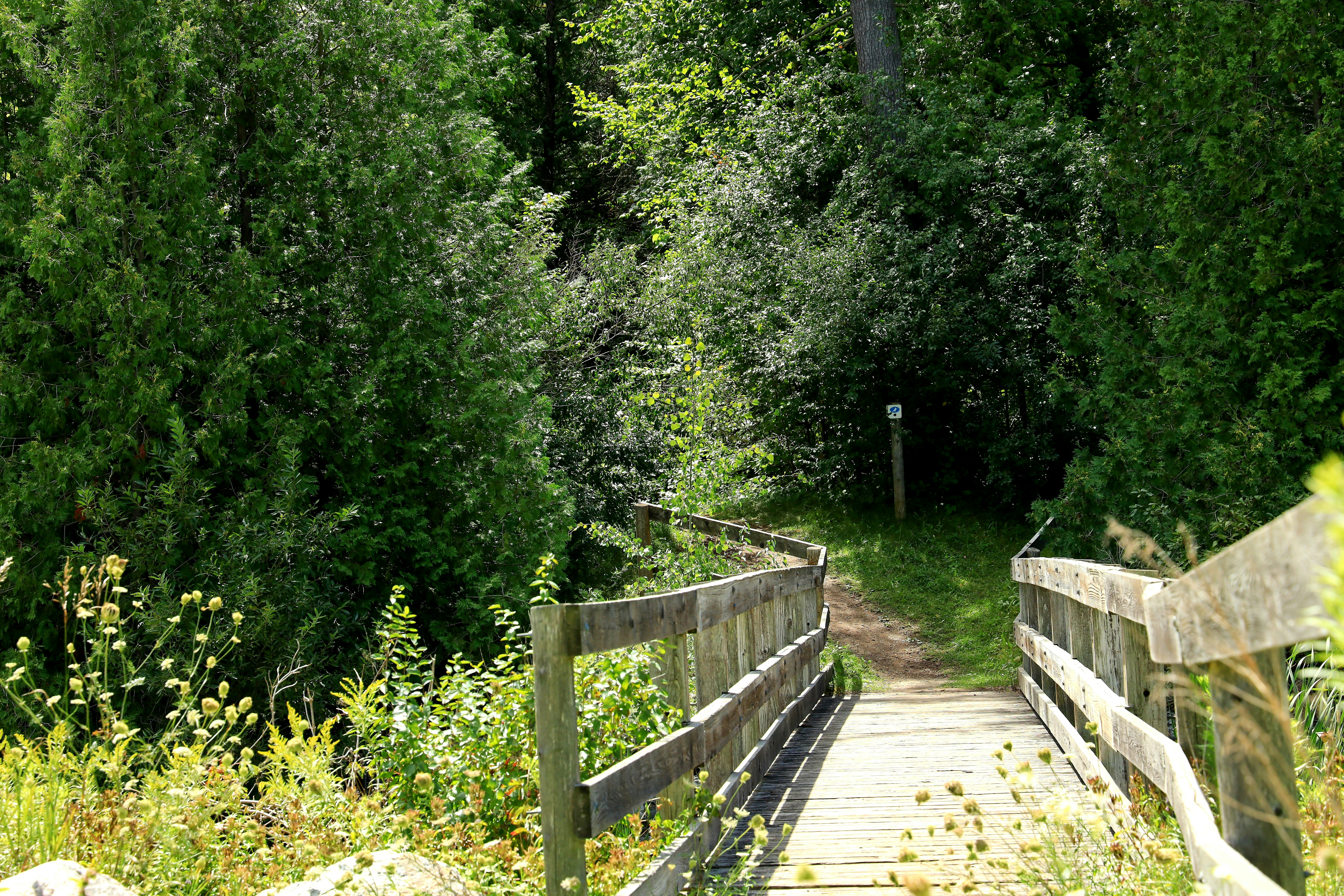 Photo by richardworks