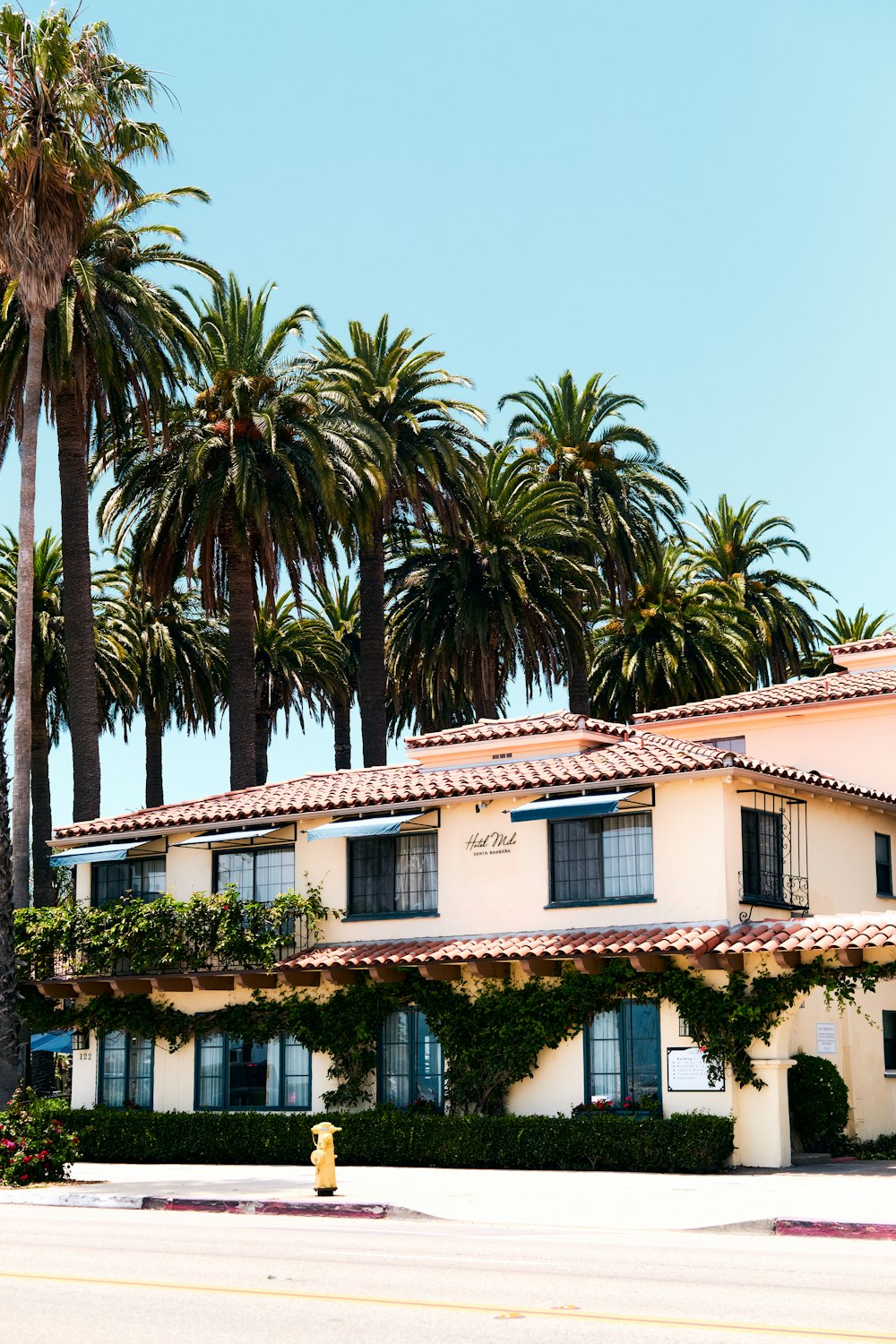 white concrete building near palm trees during daytime