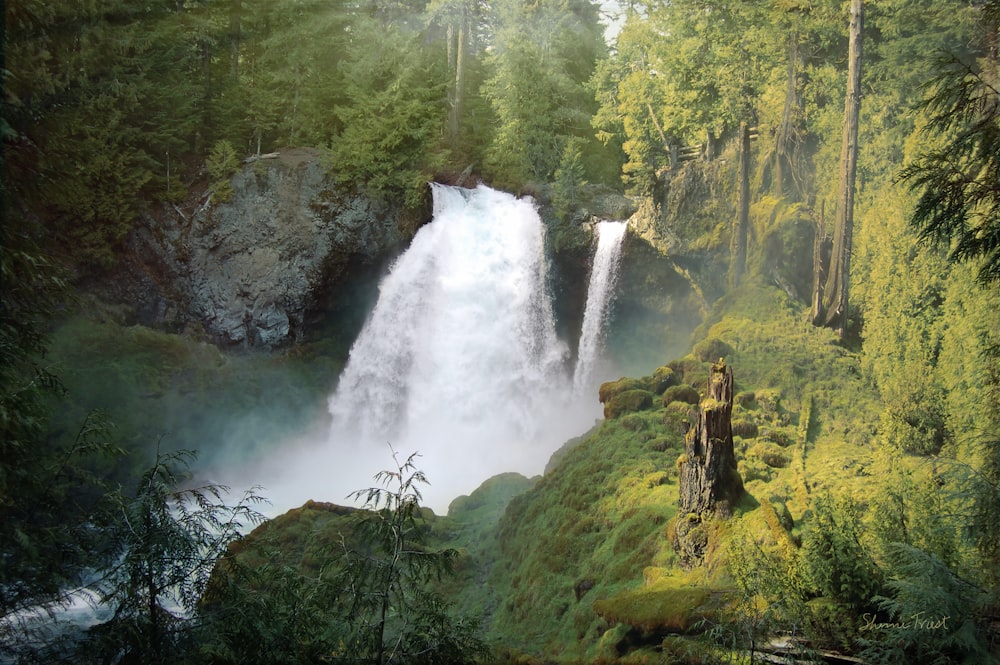 waterfalls in the middle of green trees