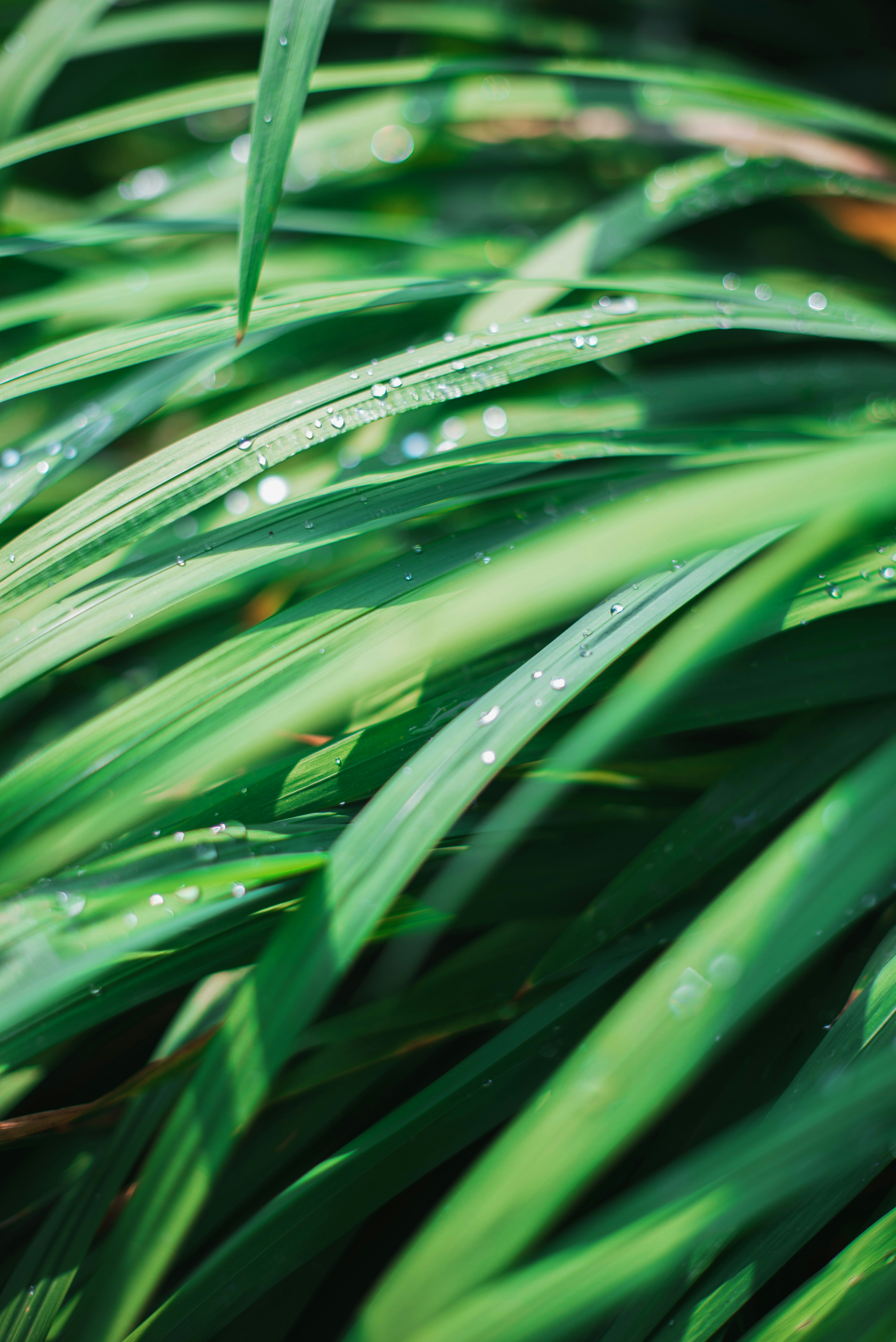 Photo by charlottelharrison