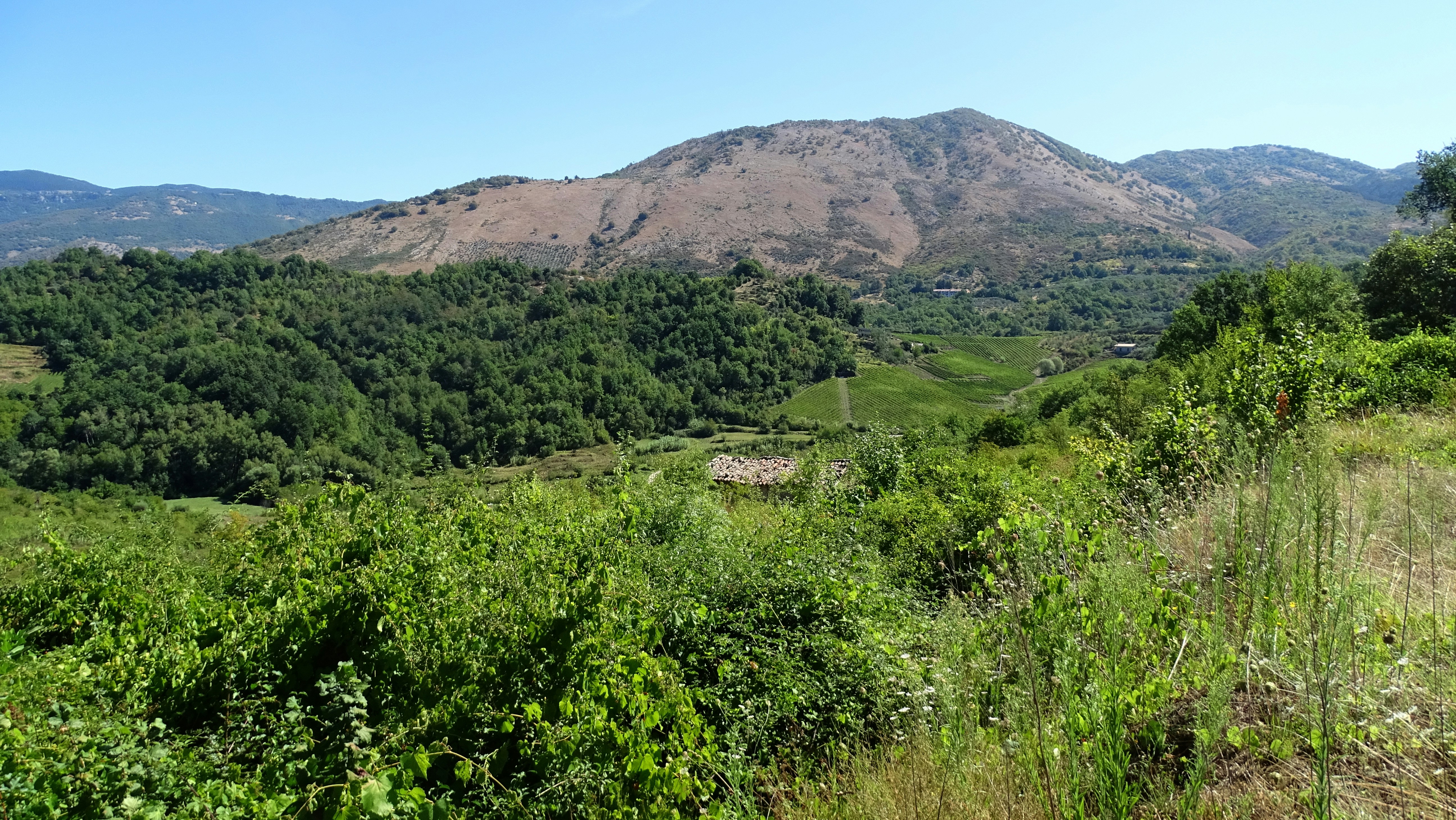 Photo by paololentini