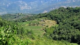The image features a lush, verdant landscape filled with dense green forests and neatly cultivated agricultural terraces. A small stone building is situated on one of the terraces, surrounded by fields of crops. The background reveals a range of mountains under a clear blue sky, adding a sense of depth and grandeur to the scene.