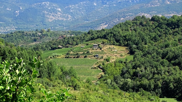 The image features a lush, verdant landscape filled with dense green forests and neatly cultivated agricultural terraces. A small stone building is situated on one of the terraces, surrounded by fields of crops. The background reveals a range of mountains under a clear blue sky, adding a sense of depth and grandeur to the scene.