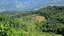 The image features a lush, verdant landscape filled with dense green forests and neatly cultivated agricultural terraces. A small stone building is situated on one of the terraces, surrounded by fields of crops. The background reveals a range of mountains under a clear blue sky, adding a sense of depth and grandeur to the scene.