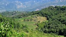 The image features a lush, verdant landscape filled with dense green forests and neatly cultivated agricultural terraces. A small stone building is situated on one of the terraces, surrounded by fields of crops. The background reveals a range of mountains under a clear blue sky, adding a sense of depth and grandeur to the scene.