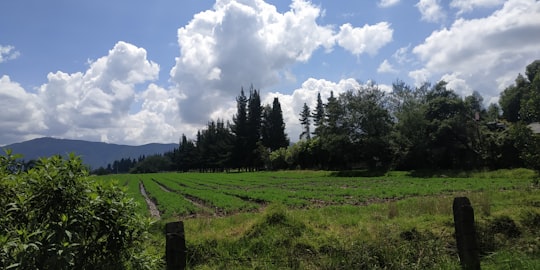 photo of Cundinamarca Hill station near Monserrate