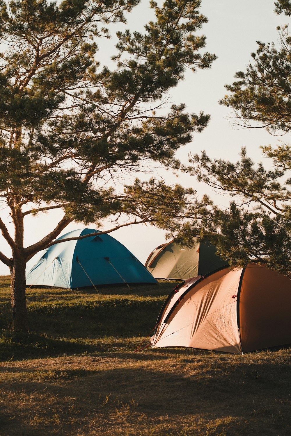 white and blue dome tent on green grass field