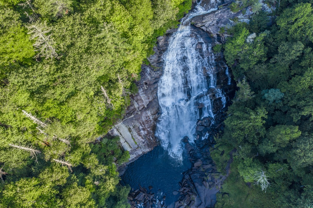 Vista aérea del río entre árboles verdes durante el día