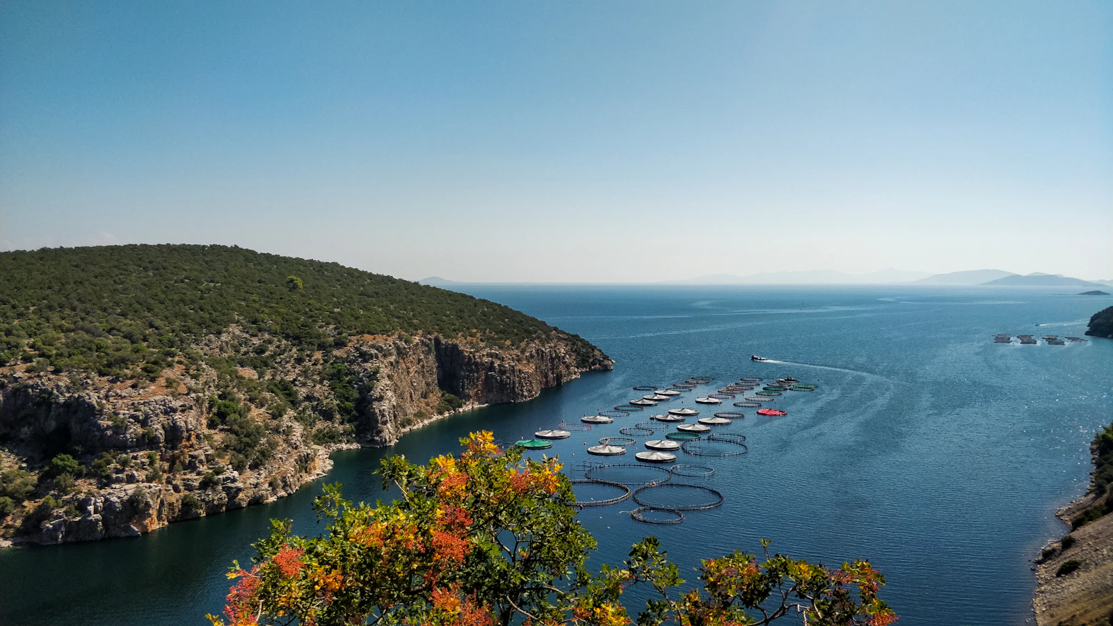 saronic gulf
