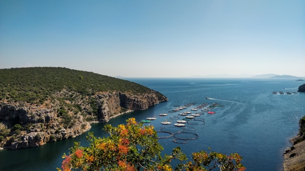 Epidaurus Travel Guide: Discover An Ancient Greek Gem