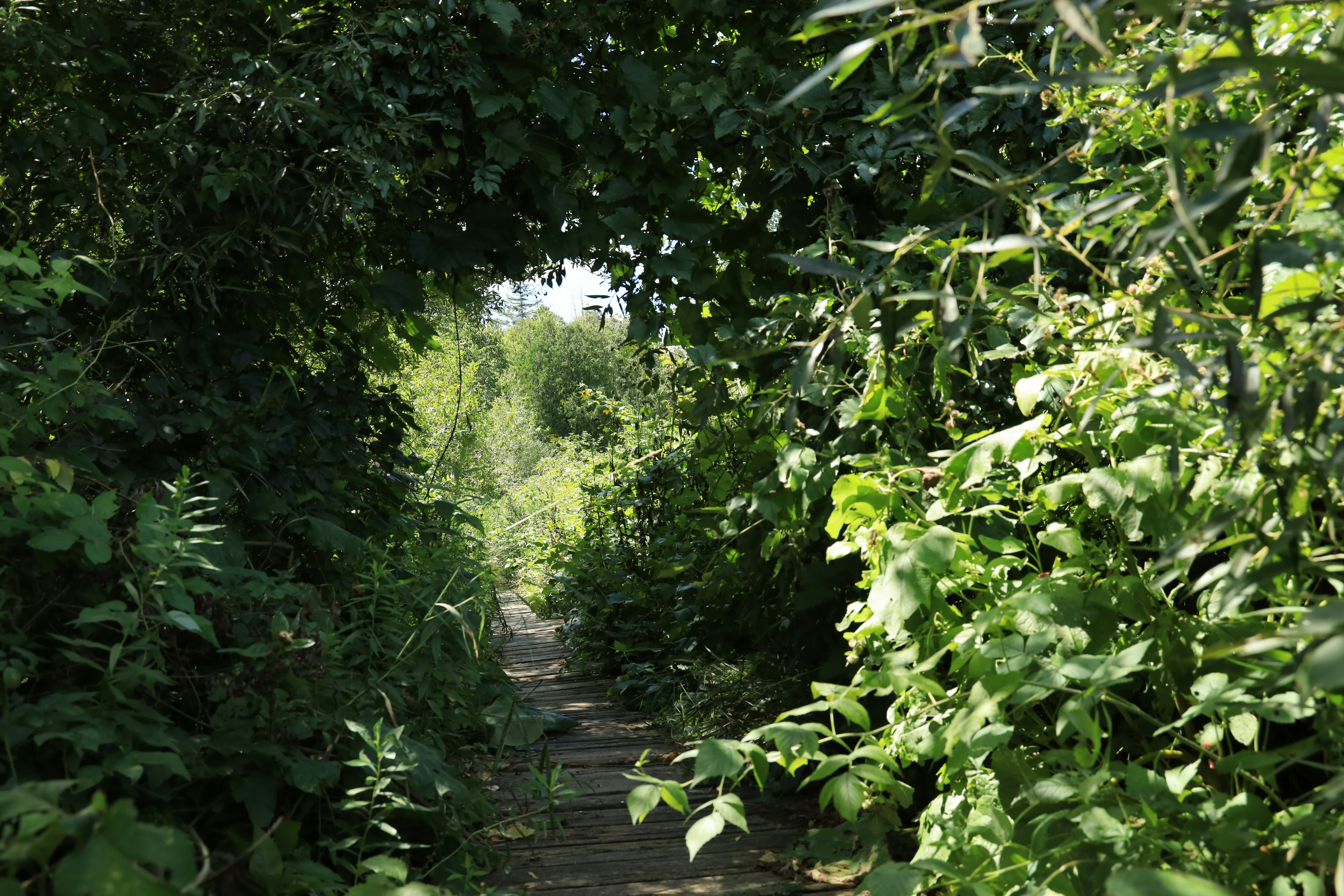 Photo by richardworks