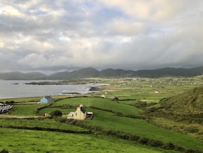 white and brown house on green grass field near body of water during daytime