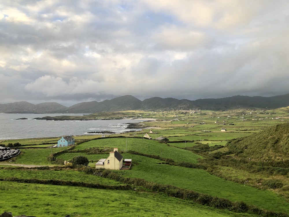 white and brown house on green grass field near body of water during daytime