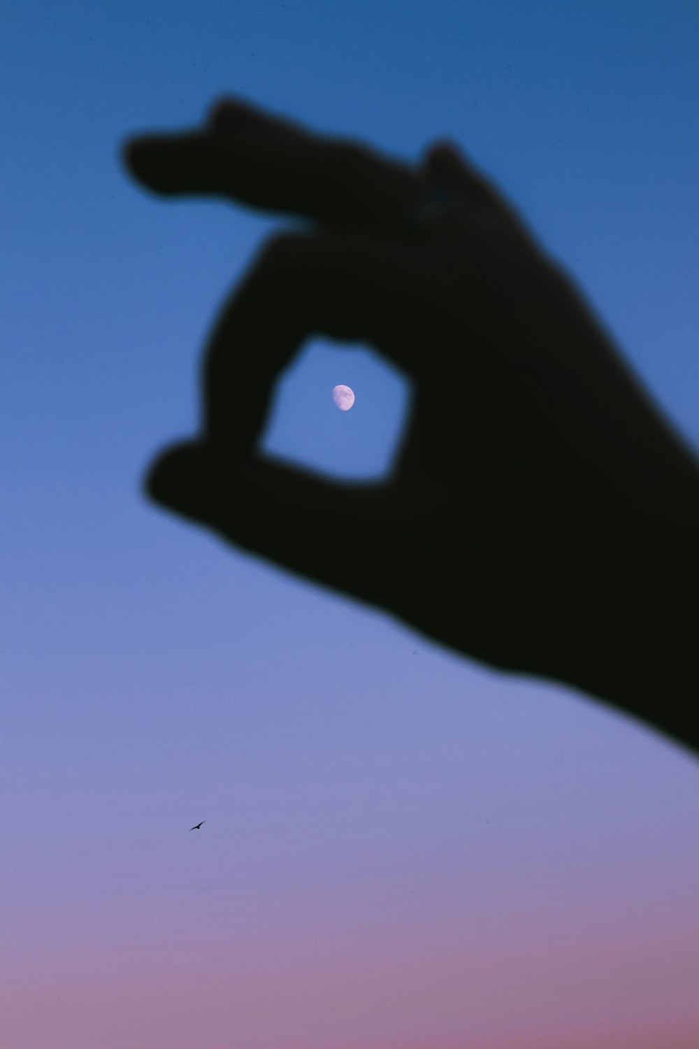 silhouette of persons hand