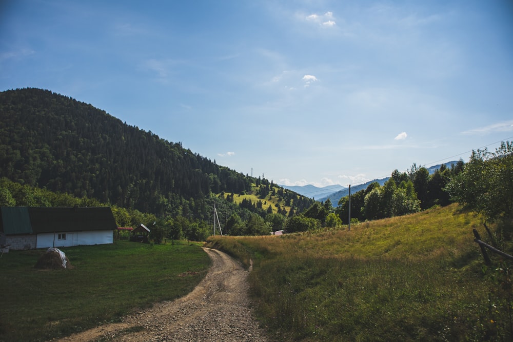 Champ d’herbe verte près de la montagne sous le ciel bleu pendant la journée